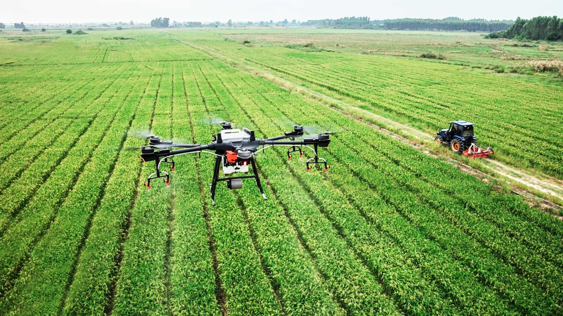 Agriculture