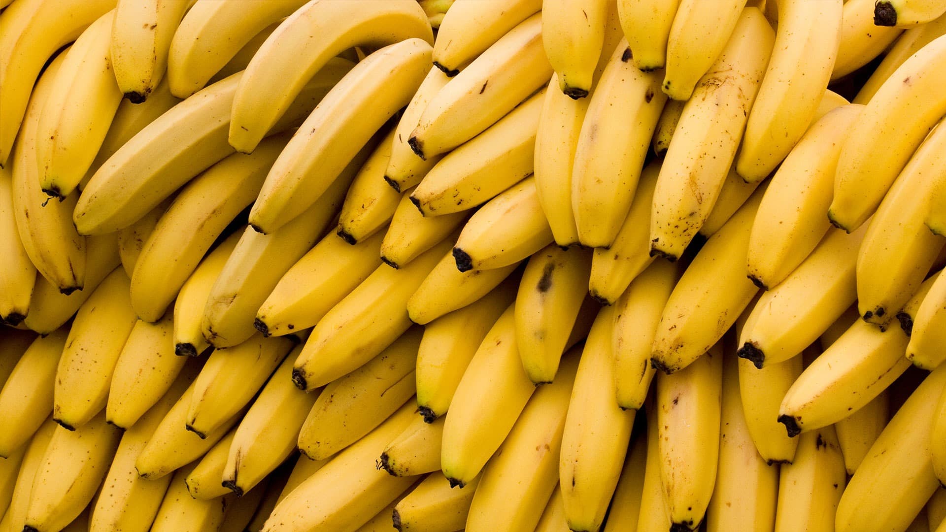 Bananas from Brazil