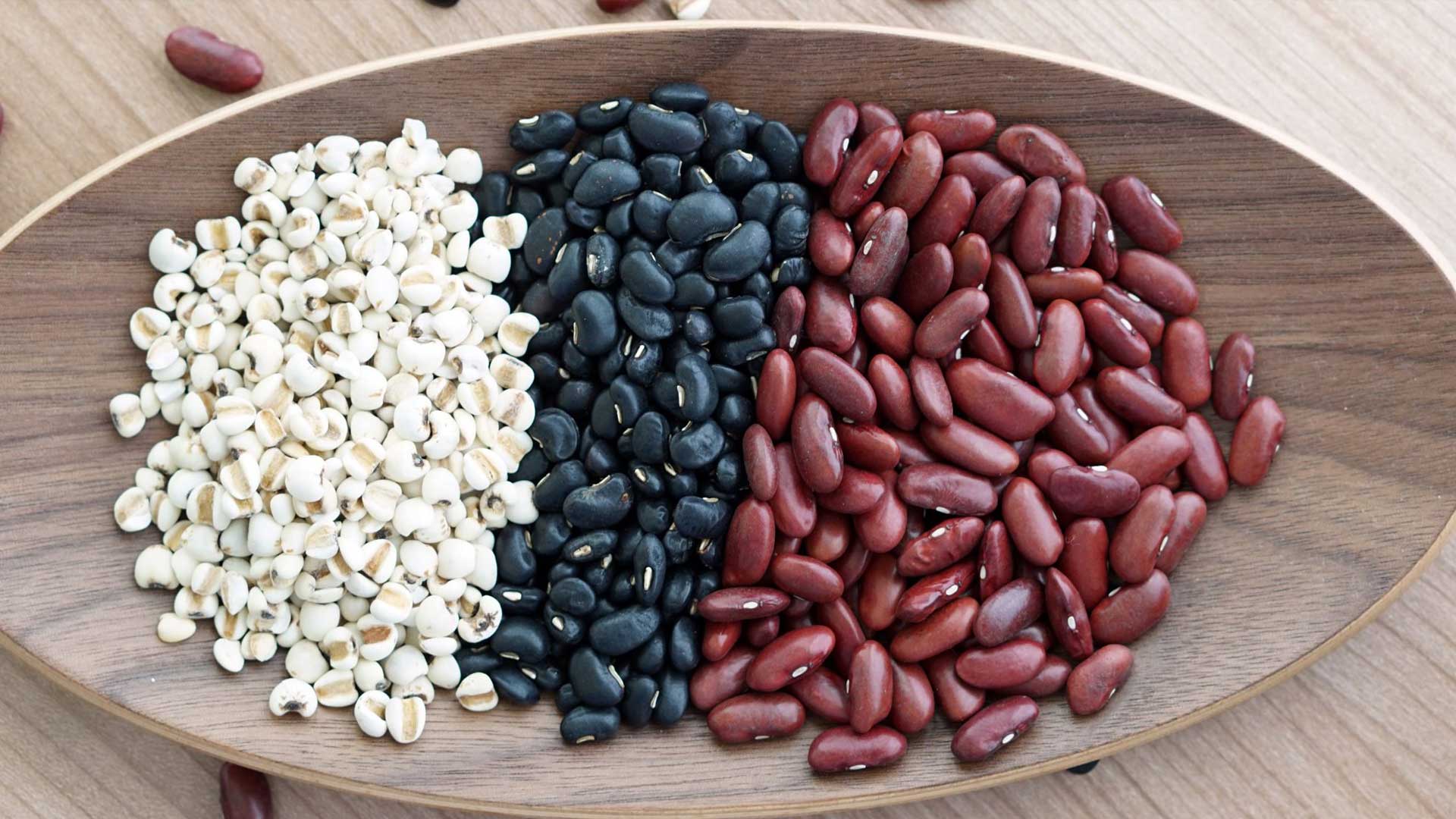 Beans Export from Brazil