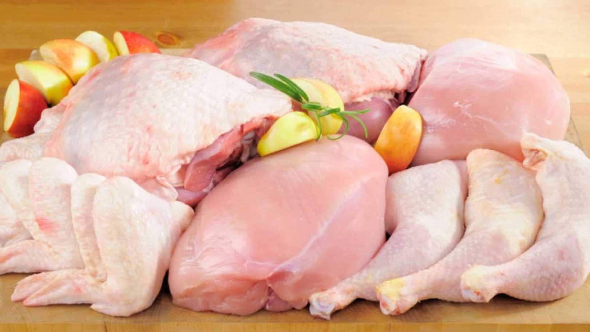 Chicken Meat Export from Brazil