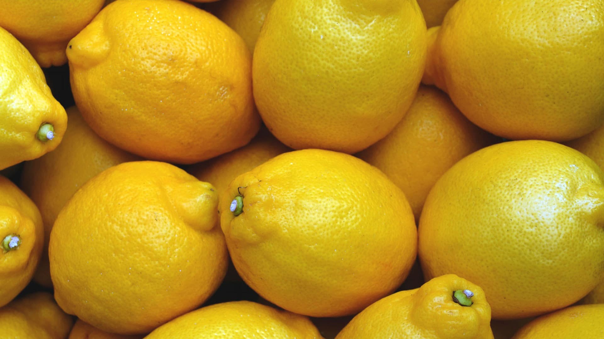 Import Lemons from Brazil