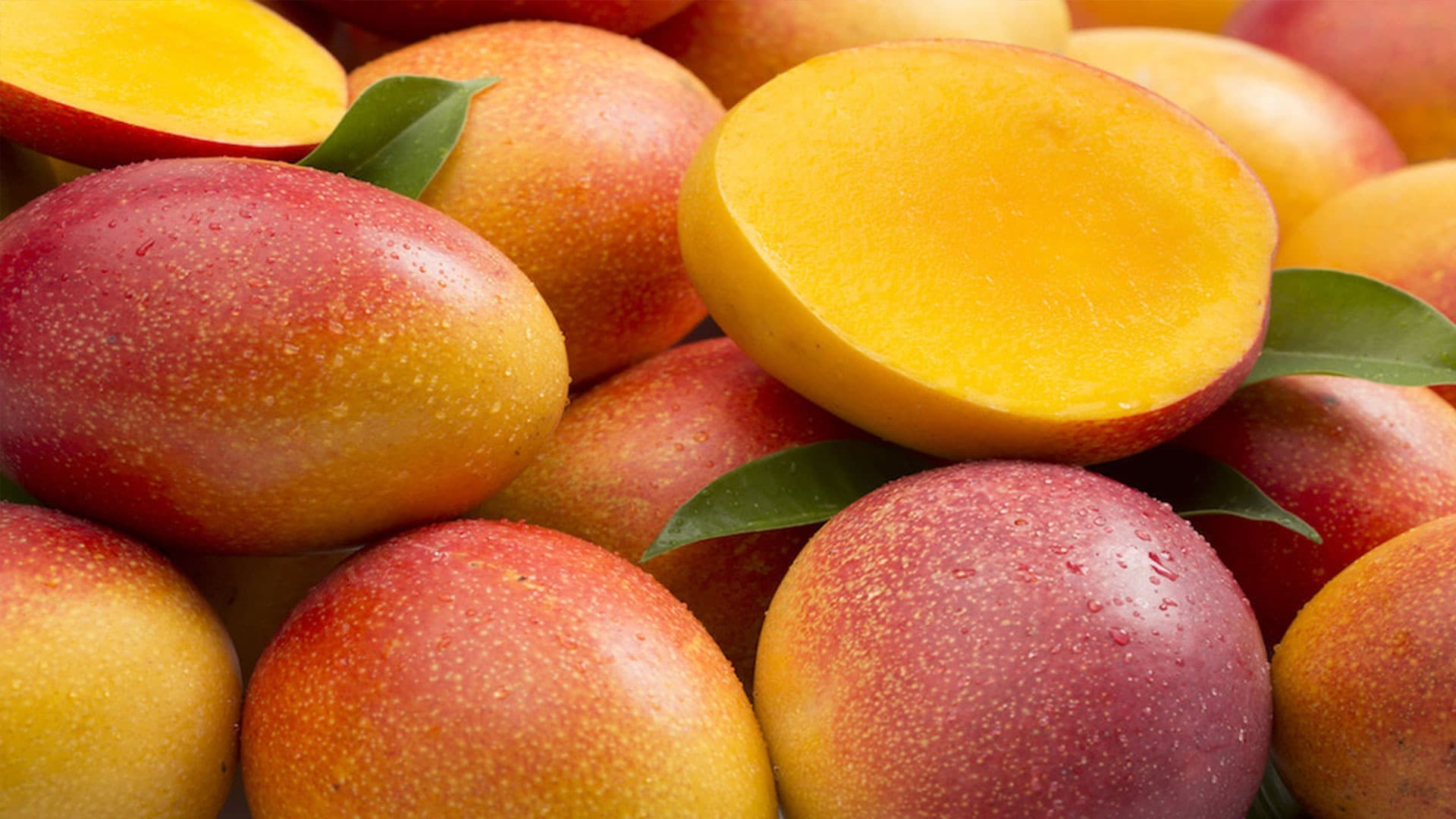 Import Brazilian Mangoes