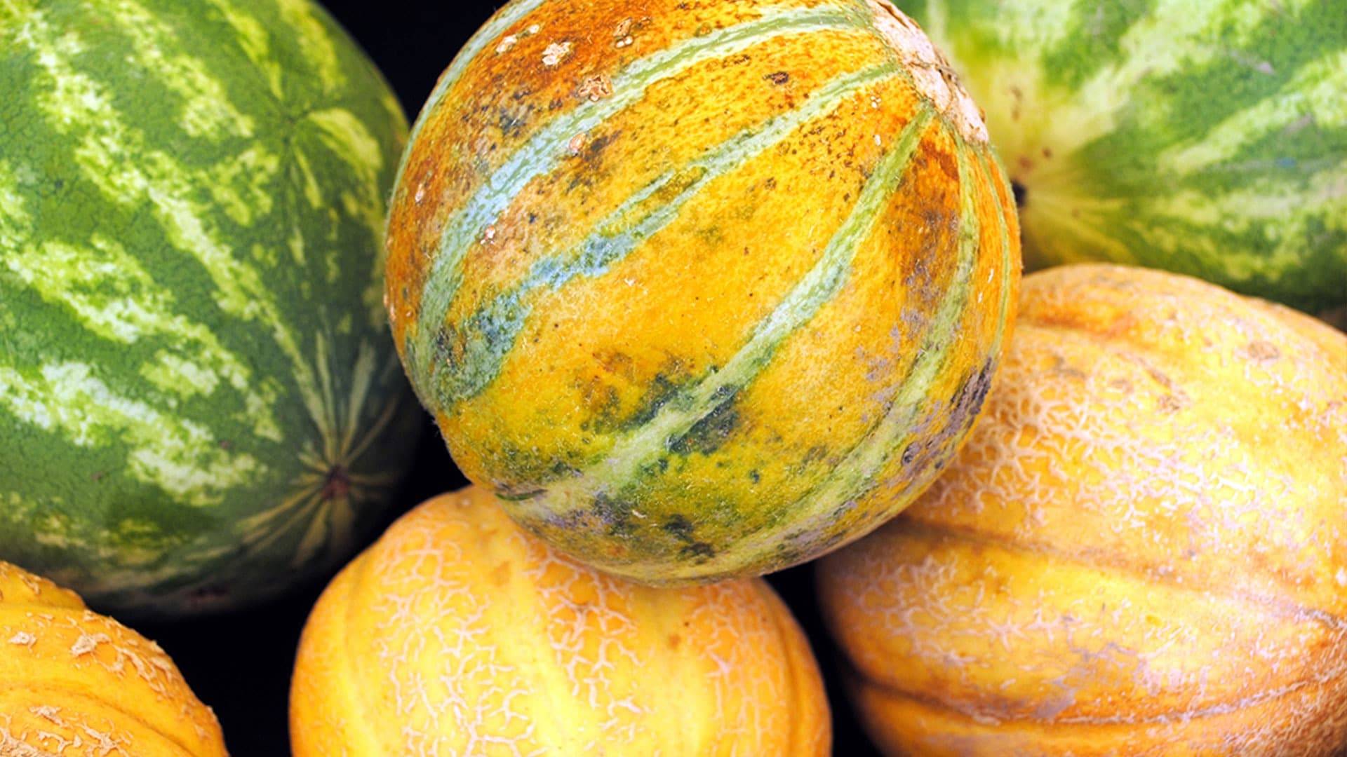 Melons from Brazil