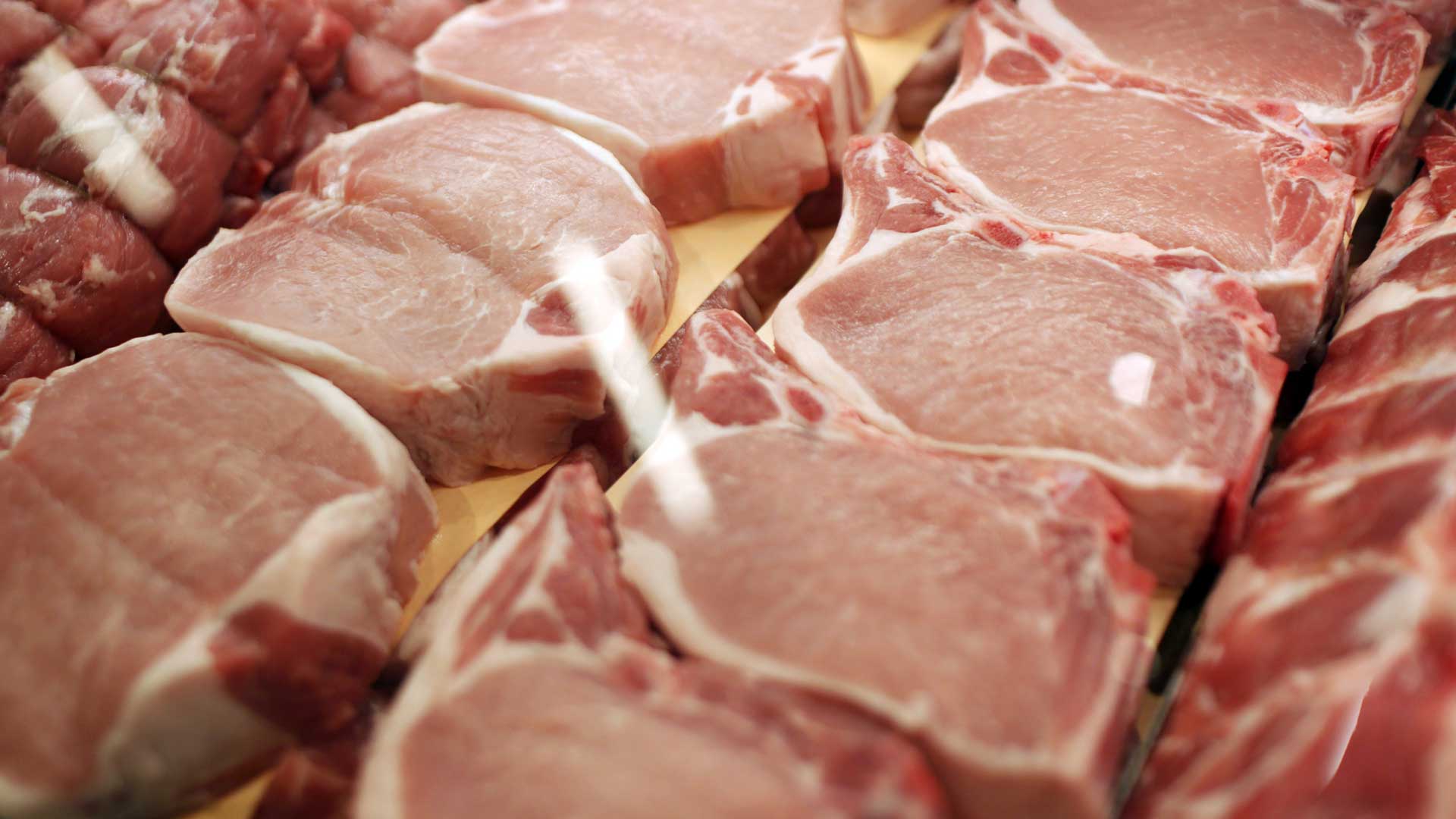 Export Pig Meat from Brazil