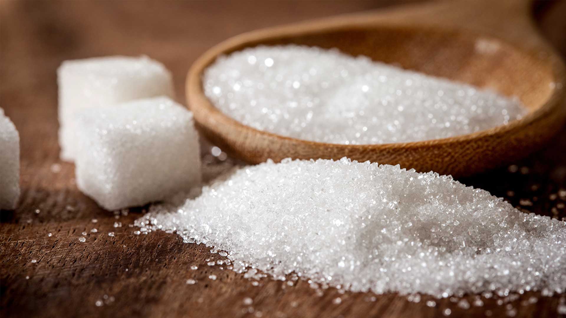 Sugar Export from Brazil